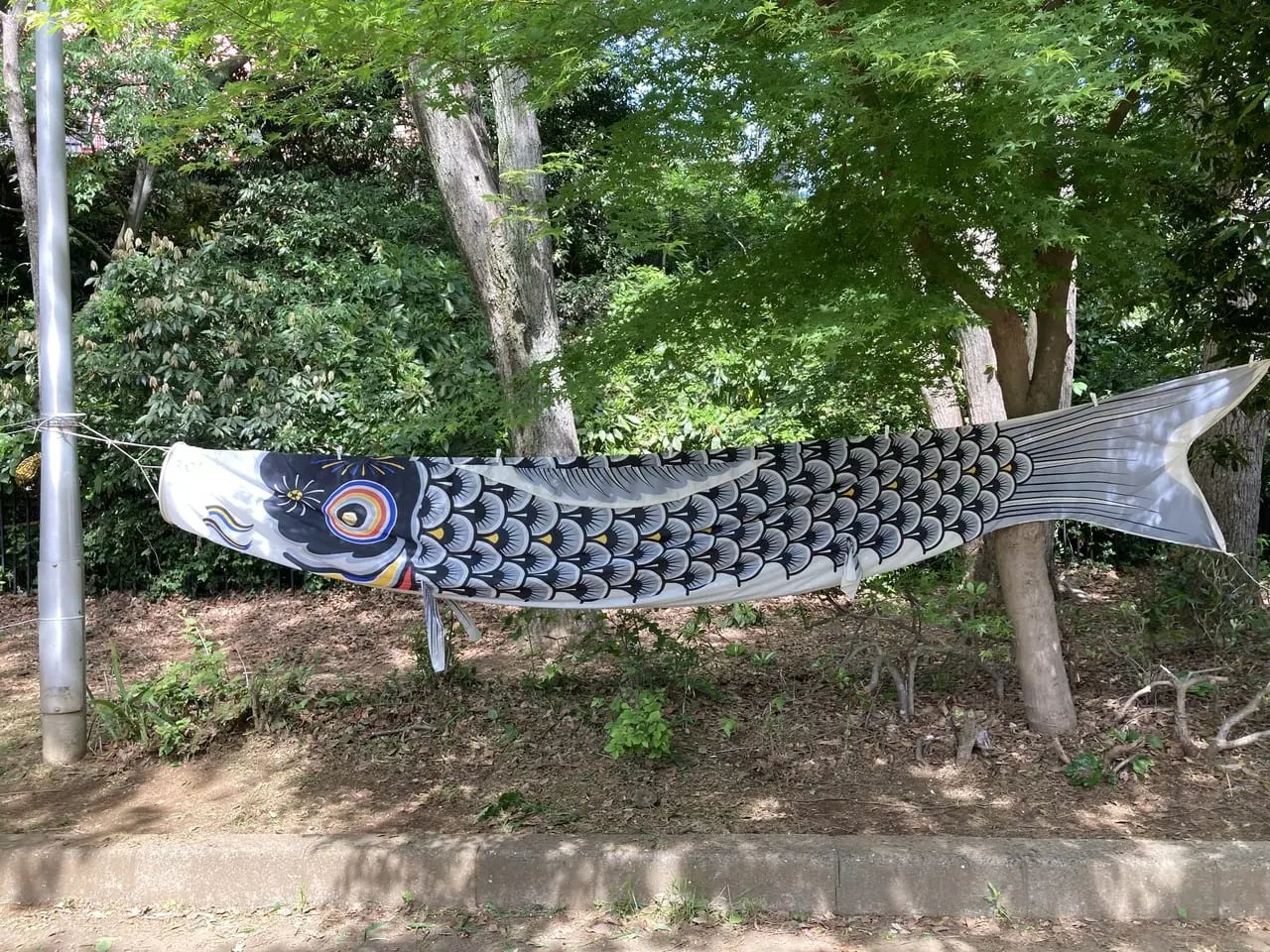 🌳 카이가라야마 공원 이미지 9